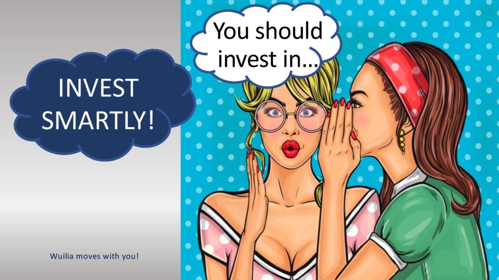 smart-invest-wuilia-business