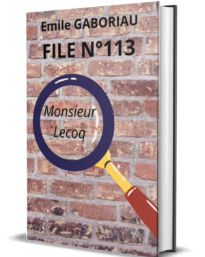 File n° 113