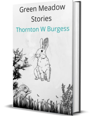 Green Meadow Stories