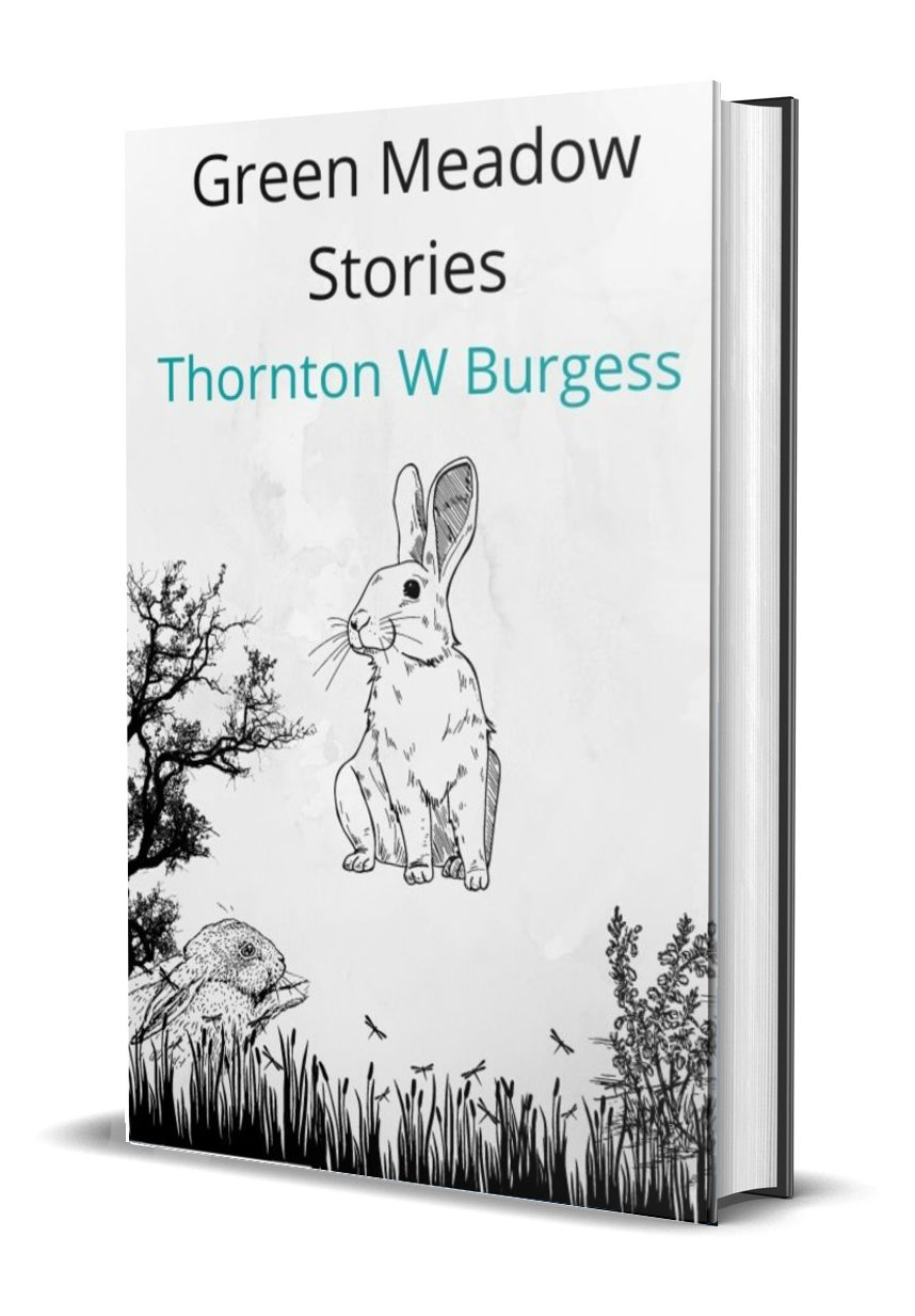 Green Meadow Stories