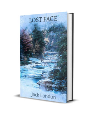 Lost Face