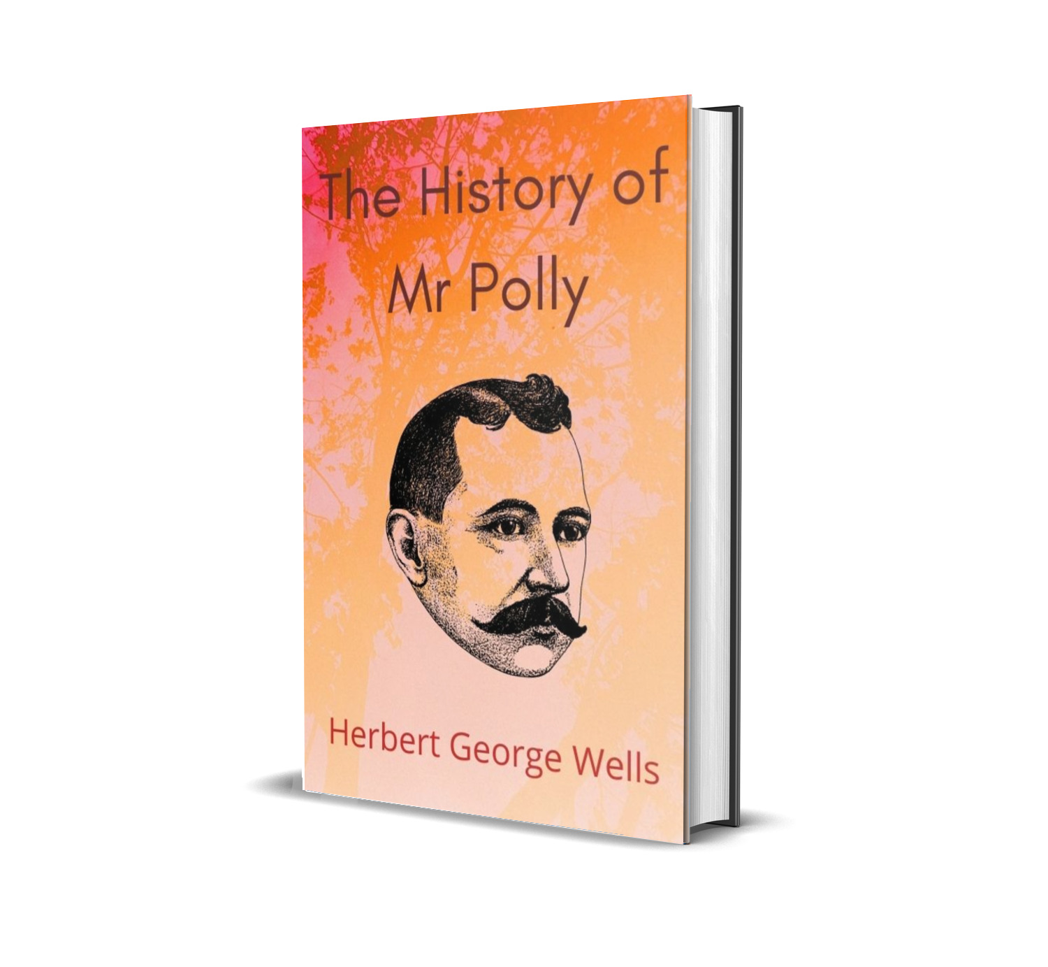 The History of Mr Polly