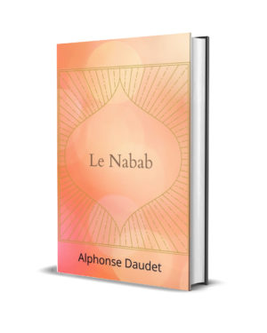 ebook-wuilia-livre-numerique-digital-alphonse-daudet