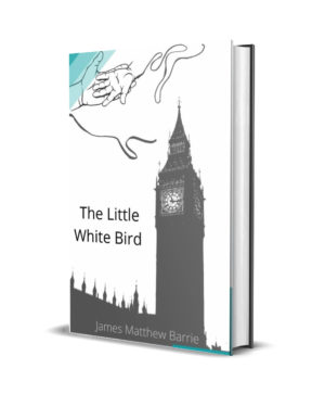 the-little-white-bird-ebook-wuilia-livre
